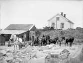 Hästar med dragvagnar på Bohus Malmön 1910