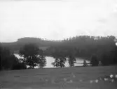 Enligt senare noteringar: 