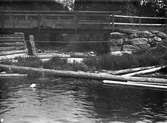 Bron och dammen vid Kaserna. I vattnet ligger timmer som flottades i sjön Vassbotten till massafabriken vid Munkedals bruk