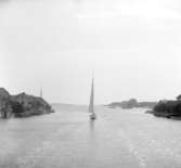 (Stereo karta XIV) Kyrkesund norrifrån, från båt. 17 Juni 1926.