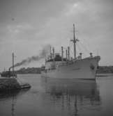 M/S Vingaland 1951.