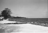 Snödrivor vid Vätterstranden i Vättersnäs, Huskvarna. I bakgrunden syns sandbankarna vid Rosenlund.