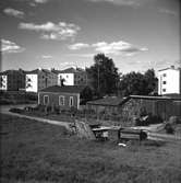 En smal grusväg går utmed en äng där dragkärror och små skjul är uppställda. Större trähus och nyare flerfamiljshus syns i bakgrunden, ett bostadsområde i Jönköping.