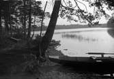 Några barrträd vid kanten samt två till hälften uppdragna roddbåtar vid sjön vid Lungkliniken i Eksjö.