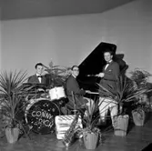 Conny Rich med klarinett och 2 musiker, Per Gerdin vid flygeln.