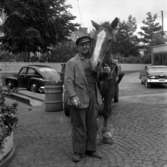 Åkare Olle Andersson kallades mest Olle Smé eftersom han var bror till smederna vid Kavlaplan. Här står han med hästen Fyr som bl a fick dra Kroatorpet till sin nuvarande plats 1951. Olle Andersson var den siste som körde yrkesmässigt med häst och vagn i Huskvarna.