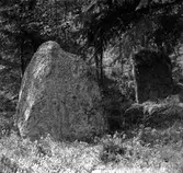 En del av domarringarna i Västraby.