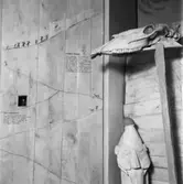 Mölndals museums basutställning: 