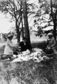 Picknick med Håkan och Anna Jönsson samt Ester Alberts vid Tulebosjön, 1920-tal.