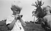 Bosgårdens barnträdgård 1938-1945. Två pojkar som blåser såpbubblor utomhus vid. Vid en intervju med förskolläraren Ingrid Hedlund berättar hon 