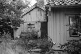 Exteriörbild av bostadshus på Roten M 13 i Mölndals Kvarnby, 1972.