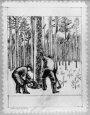 Förslagsteckningar - skisser - till frimärket Domänverket 100 år, utgivet 4/9 1959. Konstnär: Sven Ljungberg. Förslag 