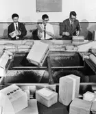 Stockholm Ban, Sverige