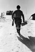 Lantbrevbärare Oskar Johansson,  Vuonatjviken, (körande snövessla) på linjen Långudden-Vuonatjviken  (33 km.)  April 1952. Långudden, Vuonatjviken, Sverige