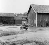 Lantbrevbärare, motorcykelåkande Holger Österberg på ön Möja
(I Stockholms skärgård) den 3/8 1956.