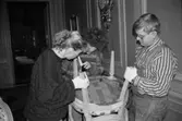 Antikvarisk storstädning på Gunnebo slott 1992. En kvinna och teknikern Alf Garthman inspekterar undersidan av en stolsits.