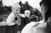 Små sommargäster i Valve, Eskelhem, får daglig påhälsning av fru Astrid Friborg, bilåkande lantbrevbärare, på linjen Klintehamn - Västergarn - Klintehamn.  Foton 10 - 11 augusti 1964.