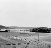 Utsikt över Annestorp, 1950-tal.