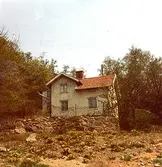 Bostadshuset Roten F25, Trädgården.