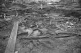 Arkeologisk utgrävning i Tulebo mosse, augusti 1993.