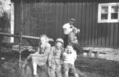 Folke Larsson står och klipper en släkting i bakgrunden, På stubben framför sitter tre barn; en flicka samt kusinerna Per-Olof Larsson och Leif Garthman. Toltorpsdalen, 1950-tal.