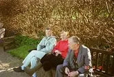 Tre män sitter på en parksoffa i Gunnebo slottspark, 12 maj 1988.