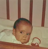 Rosas dotterdotter Danielle