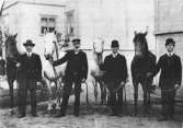 Fyra herrar som håller i varsin häst
