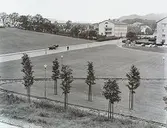 Vy från Tempelgatan, 1950-60-tal