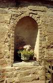 En kruka med blommor placerad i en nisch i en mur vid Gunnebo slott, juli 1991.
