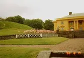 Vänster framsida av Gunnebo slott, där halva byggnaden syns, del av trappan samt en del av parken, augusti 1990. Hör ihop med 2001_0120.