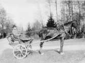 A.A. Pettersson förde posten med häst och kärra på linjen
Örebro-Lillkyrka-Arboga från 1887 till 1911. Kärran är en gigg, en
lätt tvåhjulig öppen vagn som utvecklades omkring 1850 från schäsen.
Giggen var fram till bilens genombrott ett av de vanligaste
hästfordonen. Efterhand förbättrades konstruktionen med bland annat
bättre fjädring. Korgen har i regel plats för två personer. Föra tt
ge giggen en mjukare gång kunde balansen regleras med de flyttbara
sätena. I Sverige gjordes ett flertal giggmodeller, bland annat
