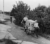 Posten transporteras från Möjabryggan, dit den anlänt vid
09.30-tiden med en fiske- och mjölkbåt från Stavsnäs, upp till öns
poststation. Poststationsföreståndare Gulli Ödings båda barn Jan-Ola
och Gunilla hjälps åt att hämta posten.