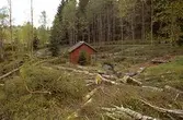 Avverkning av skog kring ett uthus som ligger söder om Djupedala kraftstation, sett från norr. Maj 1998.
