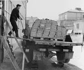Utkörning av pallaster till lastbil, vid ICA-kurirens
distributionsavdelning, f.v.b. till järnvägen.
