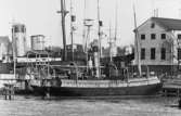 Sjömätningsfartyget Ran (f.d. postångfartyget Polhem) upplagt vid Skeppsholmen, Stockholm, vintern 1933-1934.