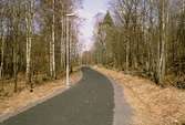 Ett asfalterat elljusspår i Norra Valås, på väg mot Lambertsons, mars 1993. Till vänster om gångvägen finns lyktstolpar, till höger en gärdesgård.