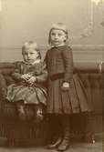 Bilden ett helfigursporträtt av två barn, taget i ateljé runt 1895-1905.

Fotografiet är ett s k visitkort. Dessa blev mycket vanliga och populära från 1860-talet, då ny teknik gjort det möjligt att ta fram flera kopior ur ett negativ. Både privatpersoner och 