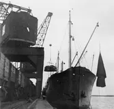 Hallandsbolagets ångare Gladan avgår med 55 ton, eller ungefär 8000
gåvopaket, från Trelleborg till Lübeck. Maximivikten var efter 16.8
10 kg.