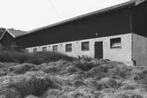 Ladugård med hö framför. 
Lunnagården i Balltorp 1992-06-30.