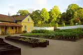 Köksträdgården och 