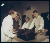 Utgrävning av sjömanskista av bl.a. Sven Bengtsson (till vänster), Per Lundström (2:a från vänster), Eva Bergman (3:e från vänster) och Bo Lundvall (till höger) på konserveringsanläggningen på Beckholmen.