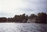 Ångf. Drottningholm vid Drottningholm 18/6-84