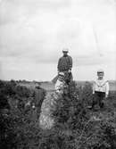 Signe, Ivar, Carin och Olle Liljefors, Berthåga, Uppsala 1901