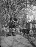 Olle Liljefors med hunden Finn, Svartbäcksgatan 37, kvarteret Edda, Svartbäcken, Uppsala 1900 - 1901