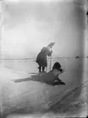 Barnen på skidor, sannolikt Uppsala 1900 - 1901
