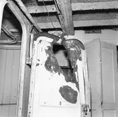 Dristigheten skjutskador