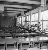 Solna Läroverk
Interiör Skolmatsalen