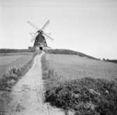 Krapperup, Skåne
Väderkvarn
Exteriör

Svensk arkitektur: kyrkor, herrgårdar med mera fotograferade av Arkitekturminnesföreningen 1908-23.