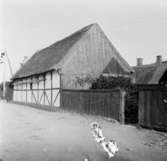 Viken, Skåne
Exteriör

Svensk arkitektur: kyrkor, herrgårdar med mera fotograferade av Arkitekturminnesföreningen 1908-23.